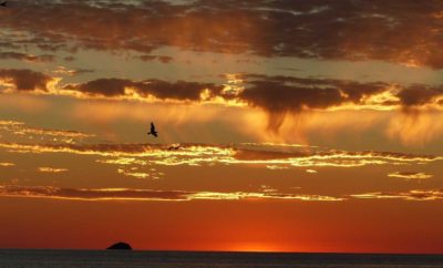 sa caleta, Ibiza’s Beaches … Sa Caleta!!