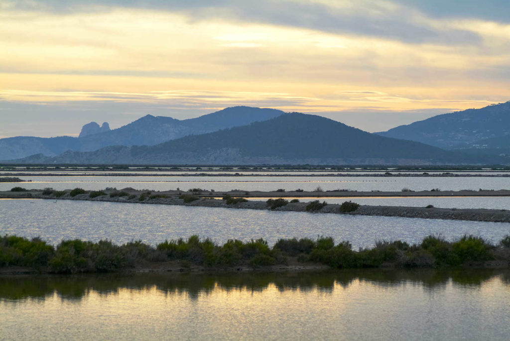 Las areas naturales, Las areas naturales en Ibiza