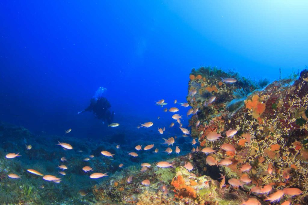 Las areas naturales, Las areas naturales en Ibiza